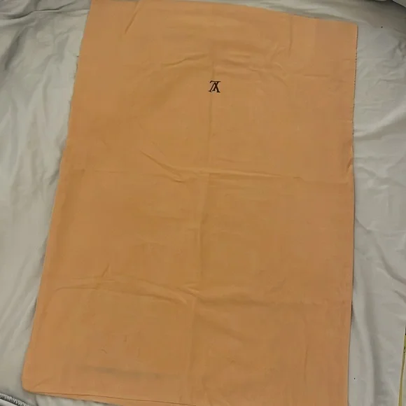 Lost in the ๐ฅ Louis Vuitton Dust Bag - Picture 4 of 7